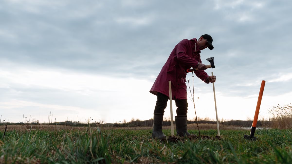 Man in red coat planting trees in an open field during sunset, symbolizing eco-friendly practices.